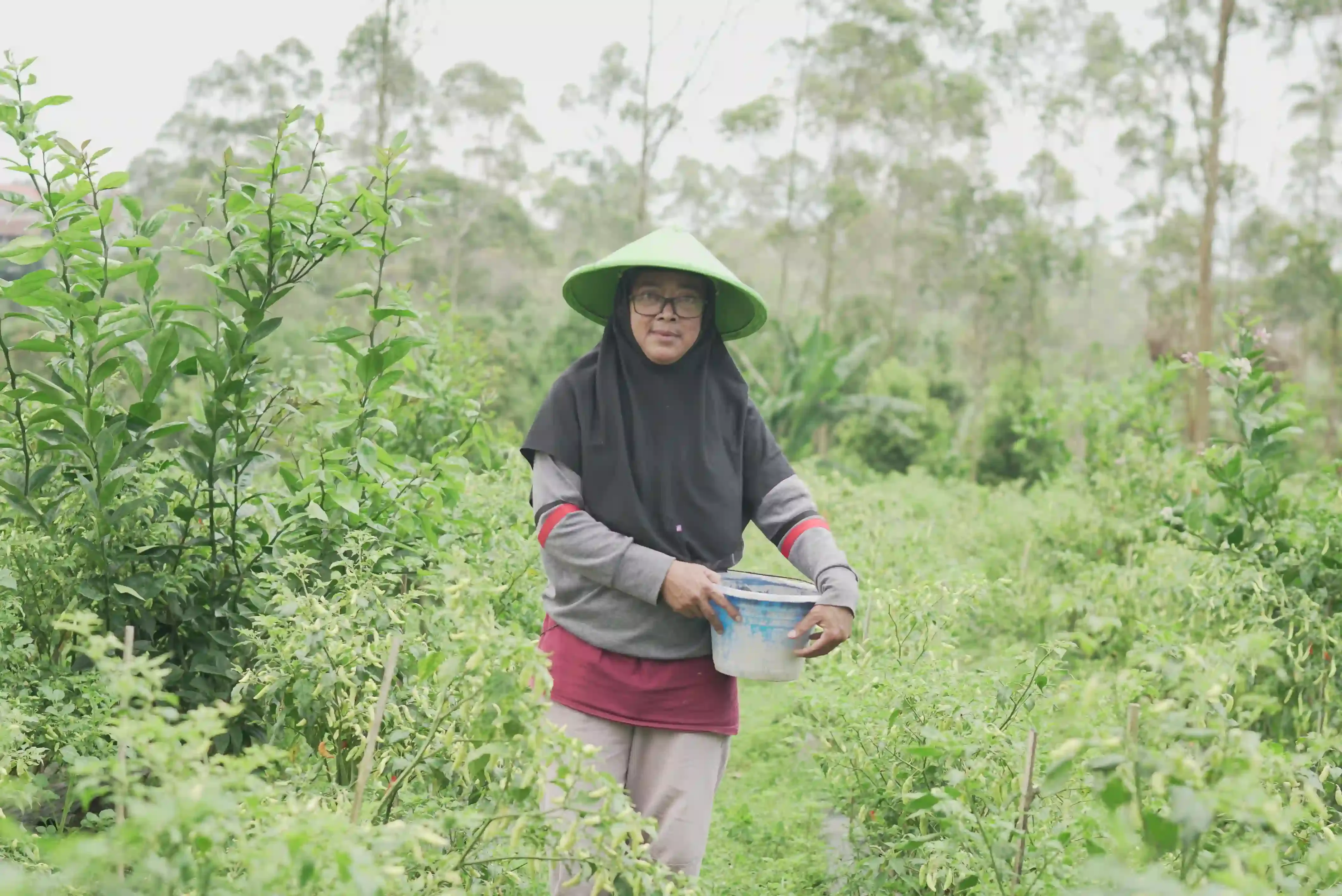 Endang, Pontianak