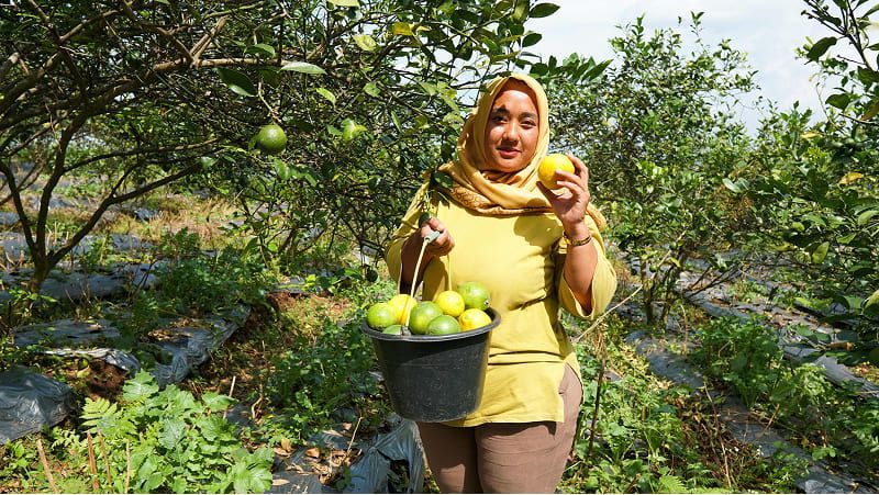 Ibu Lina