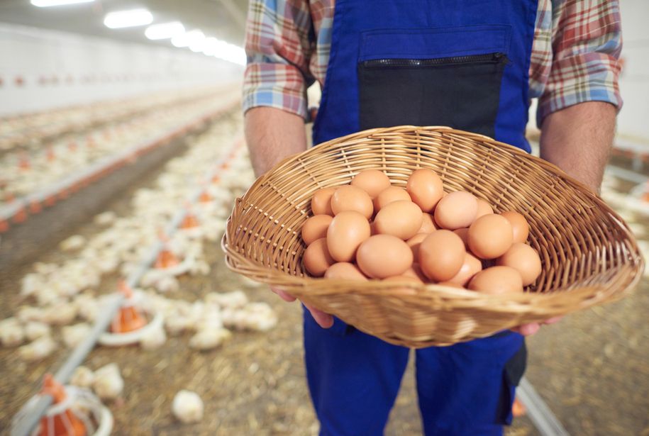 young-farmer-taking-care-his-business.jpg